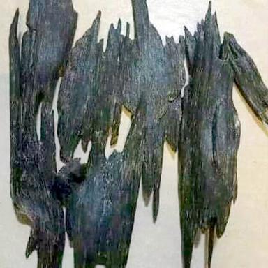 Agarwood Natural Oudh Nagaland