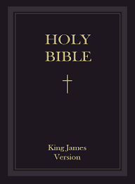 Holly Bible Religious Books