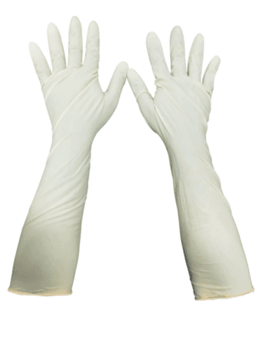 White Latex Surgical Long Sleeve Glove Dimension(L*W*H): 16 Inch And 18 Inch Inch (In)
