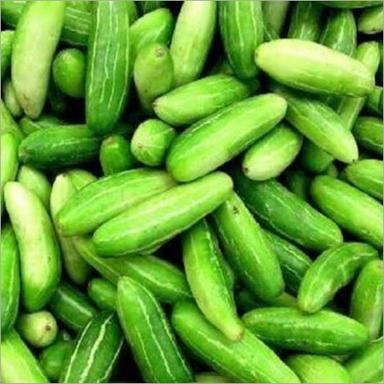 Fresh Ivy Gourd