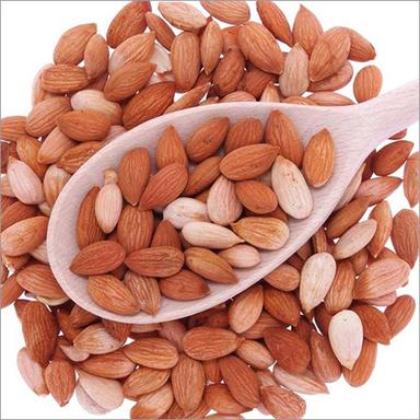 Common Apricot Kernels