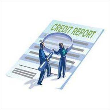 Credit Report Services