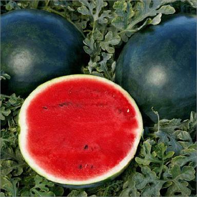 Organic Natural Watermelon
