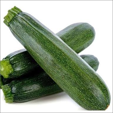 Rectangle Green Zucchini