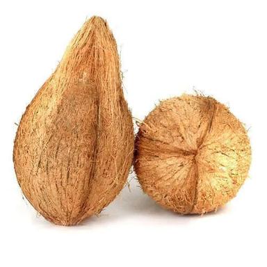 Brownish Semi Husked Coconut