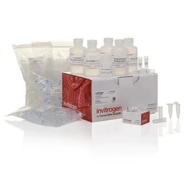 Plastic Molecular Diagnostic Kits And Services