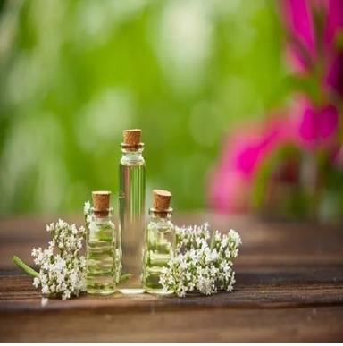Valerian Root  Oil