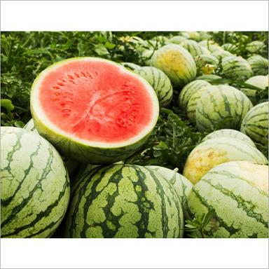 Organic Fresh Watermelon