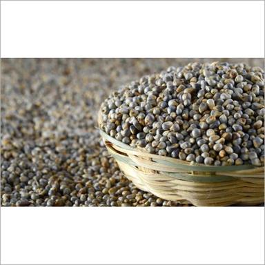 Organic Bajra Shelf Life: 2-3 Months
