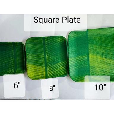 Green Food Grade Square Areca Plate