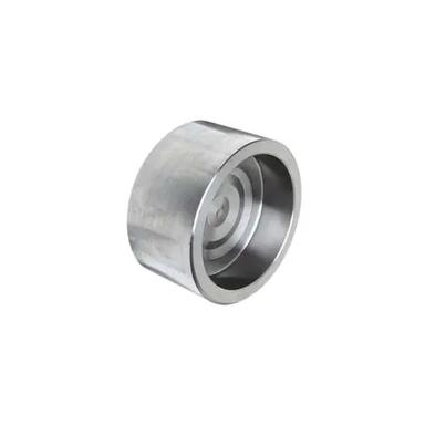 Silver Socket Weld End Cap