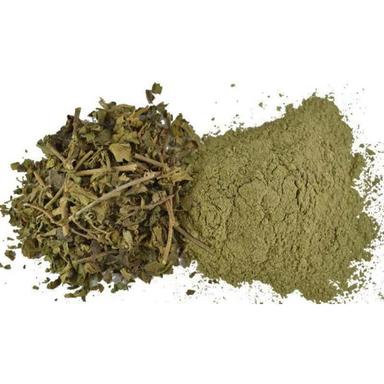 Green Gymnema Sylvestre Extract Powder