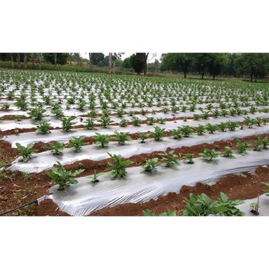 Agriculture Mulch Film Cover Material: Pc Sheet