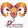 DIAGNO-VISION PRODUCTS CORPORATION