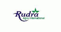 Rudra Agro International