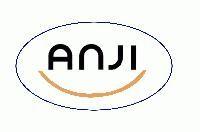 ANJI ENGINEERING SOLUTIONS PVT. LTD.