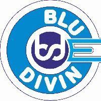 Blue Divine Event Management