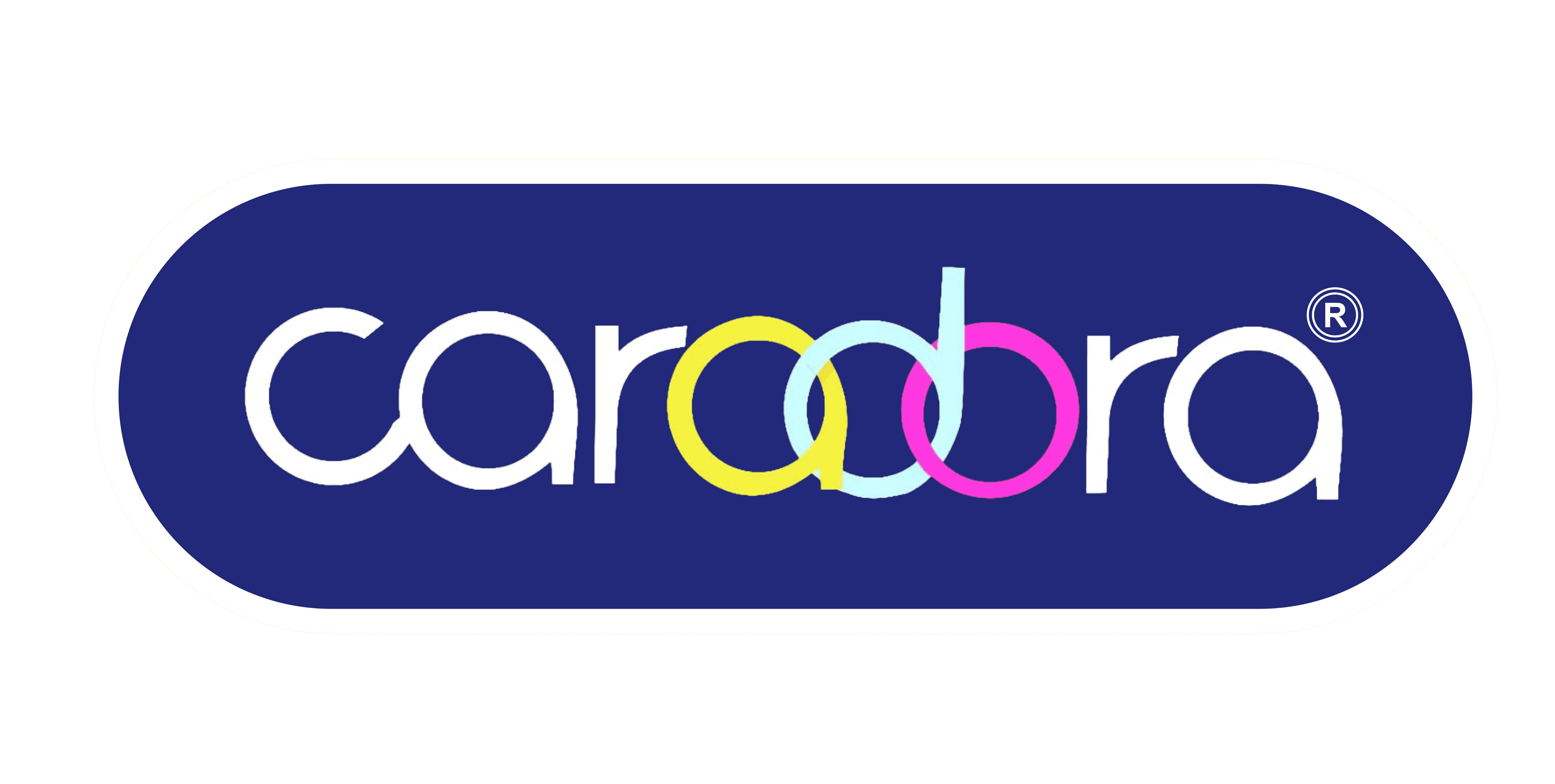 Brown Mango Seed Kernel at Best Price in Bharatpur | Caradora Health