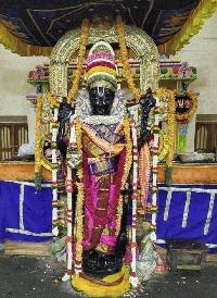 Sri Vijayalakshmi Silks