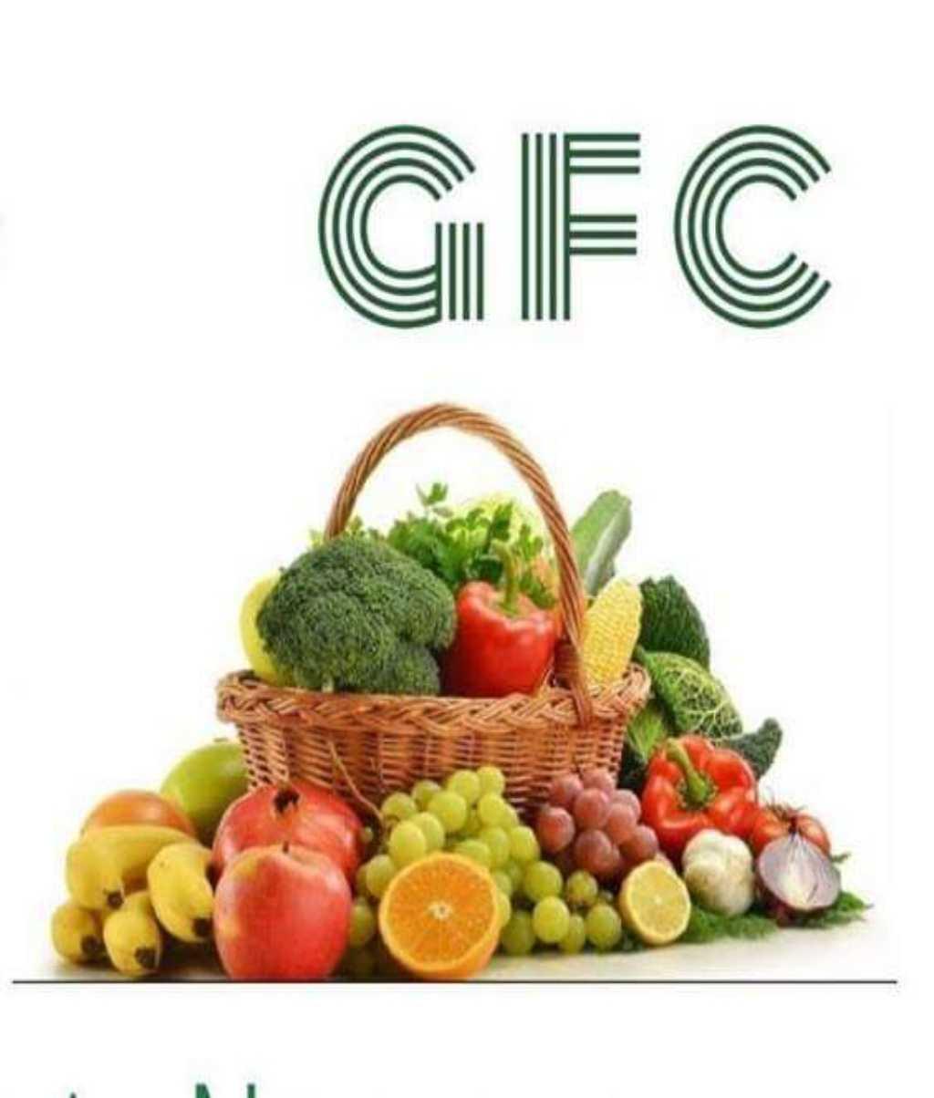 Organic Fresh Mango at Best Price in Navapur, Maharashtra Golden