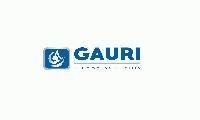 Gauri Auto India Pvt. Ltd.