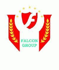 Falcon Business Solution Pvt .Ltd.