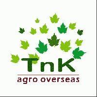 T & K AGRO OVERSEAS