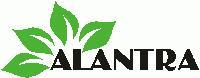 ALANTRA HEALTH CARE PVT LTD.