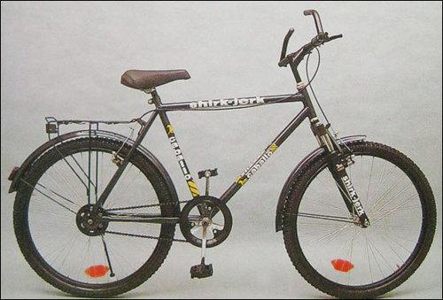shirks bikes