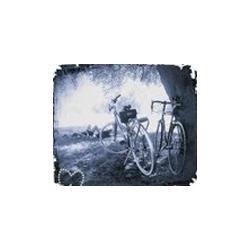Photo Print Transfer Stickers