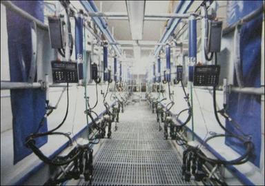 Herringbone Milk Parlour