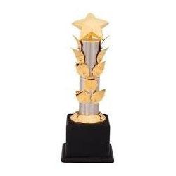 Crafted Acrylic Trophy