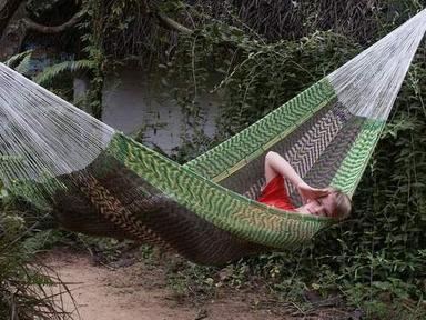 Garden Hammock