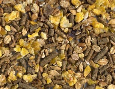 Sheep Fattening Feed