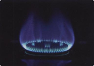 Liquid Petroleum Gas
