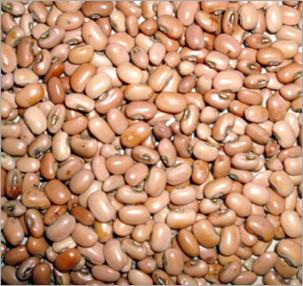 Black Cowpeas
