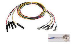 Eeg Electrodes