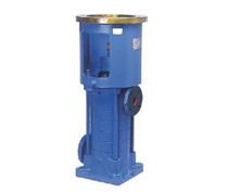 Vertical Multistage Pump