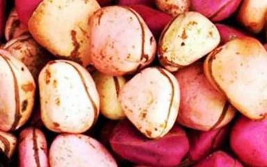 Kola Nuts