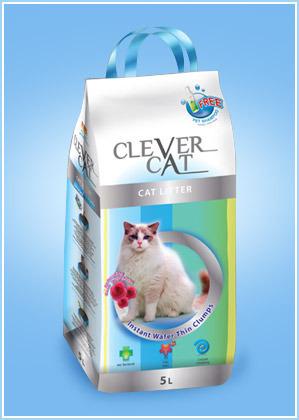 Clever Cat