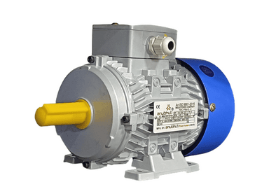 High Performance Foot Mounting Motor