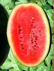 Fresh and Tasty Watermelon