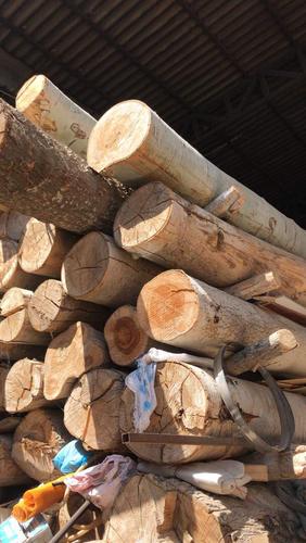 Low Price Russian Poplar Logs