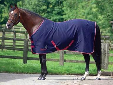 Gray Horse Summer Rug