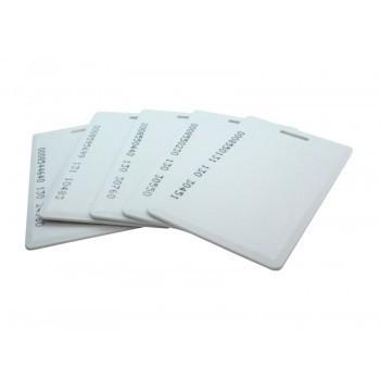 Rectangular Shape Attendance Card