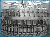 Automatic Rotary Rinsing Filling Capping Machine