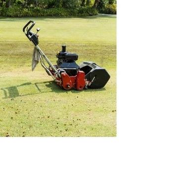 Mowing Machine For Grass Cutting Lawn Edgers
