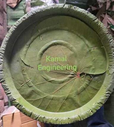 Round Shape Disposable Paper Plates Application: For Food