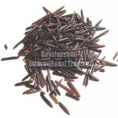 Dried Healthy And Natural Dark Wild Rice