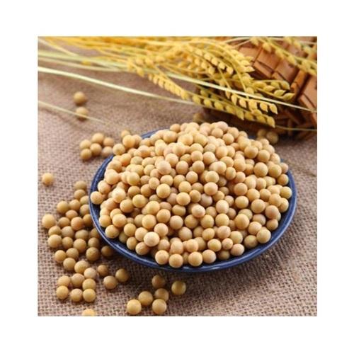Natural And Pure Organic Soybeans at Best Price in Cape Town Agro
